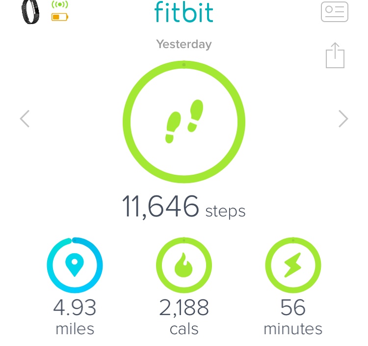 fitbit steps